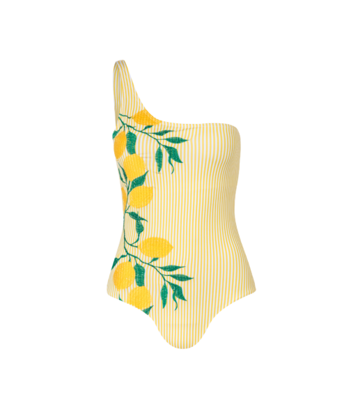 one shoulder one piece  swimsuit