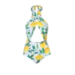 debora-OnePiece-Limonesloulou-front-100 one piece swimsuit
