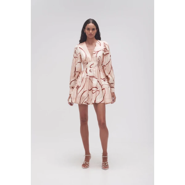 aje dress