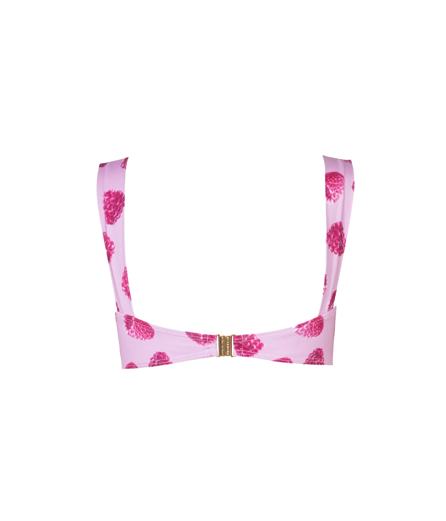 Lisa-Top-Pink-Raspberries-Back_fe7918cb-b08c-4964-a28a-9fcb07d4f228_1445x swimwear