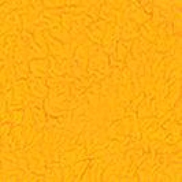 Imina Bikini Bottom - Image 5