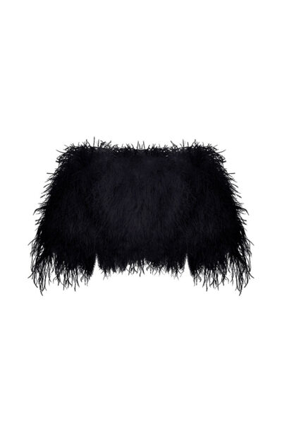 Rasario Cropped Feather-Trimmed Crepe Top