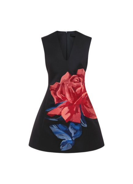 Briana V Neck Mini Dress - Rose Print