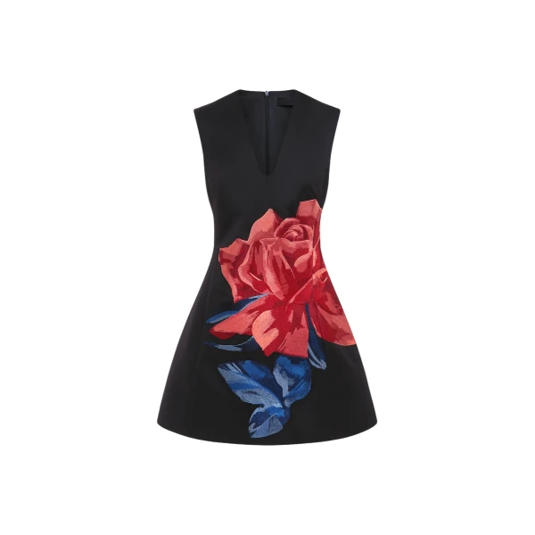 Briana V Neck Mini Dress - Rose Print