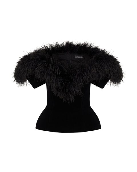 David Koma Feather Trim And Velvet Top