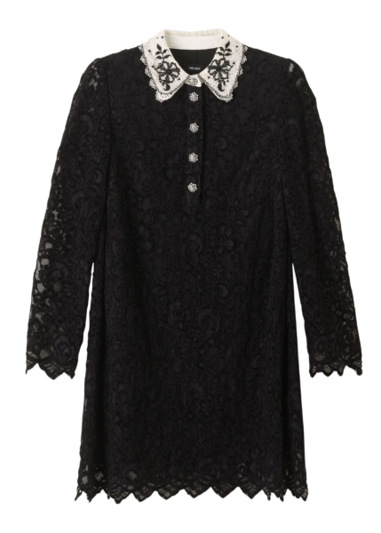 Lace Collar Shift Dress