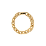 Schiaparelli-Rope-Links-Necklace53758_nobg