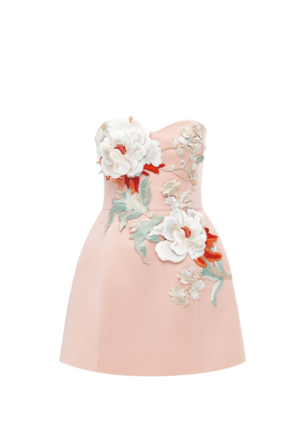 Rosario Appliqué Bustier Mini Dress - Peony Print