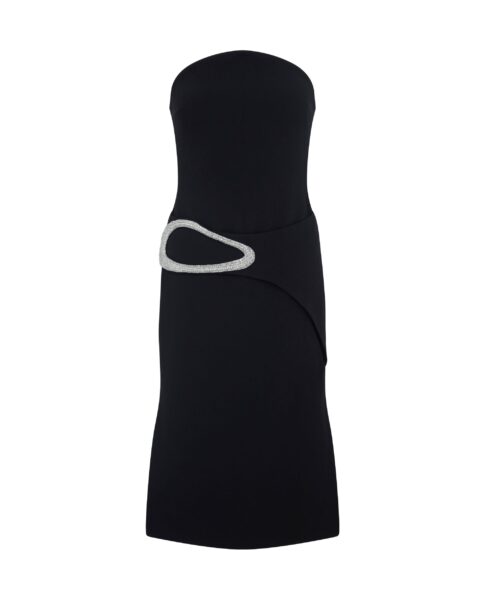 David Koma Crystal Buckle Strapless Midi Dress