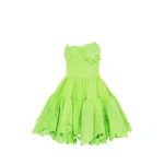 Leo-Lin-Skye-Applique-Bustier-Mini-Dress-Lime51350_nobg Leo Lin Dresses luxury Clothing from Luxury Handbags Marketplace