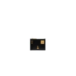 Schiaparelli Jewelry Coin Purse luxury Accessories from  Luxury Handbags Marketplace