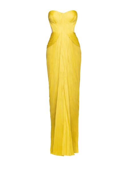 Maria Lucia Hohan gown