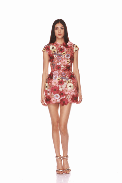 Bronx and Banco Red Jasmine Capsleeve Red Multi Mini Dress  a harmonious blend of structured elegance and timeless sophistication