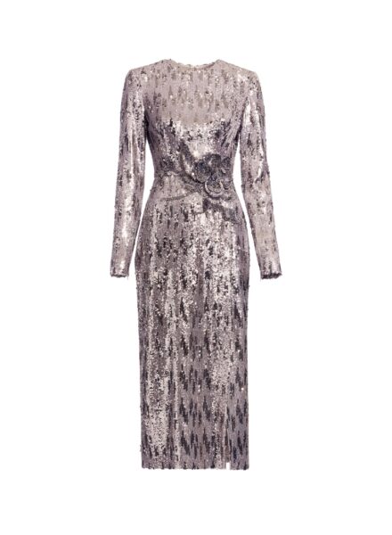 Elie Saab Embellished Sequins Long Dress in Silver featuring Floral Applique on Sequins – Luxury Designer Fashion at Luxury Shoes .