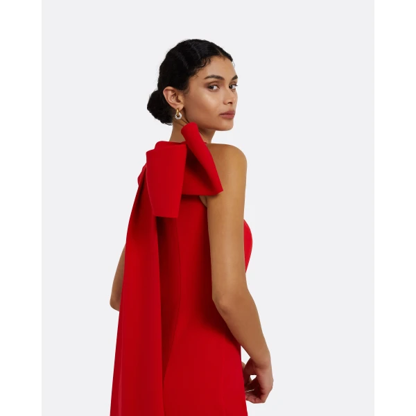 Celestia Cherry Red Long Dress - Image 4