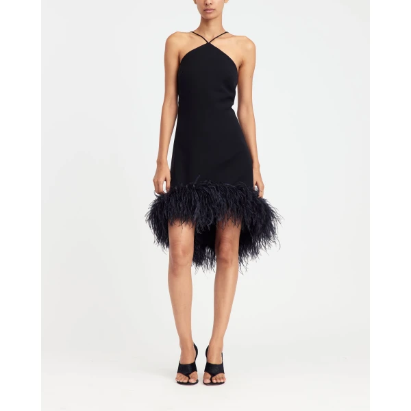 Elevate your elegance in this 16Arlington  from the luxury feather dress edit