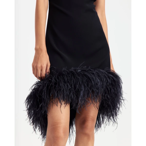 Elevate your elegance in this 16Arlington  from the luxury feather dress edit