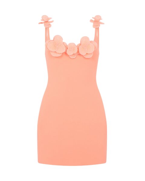 David Koma 3D Lace Flower Mini Dress