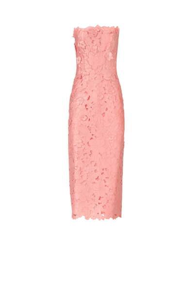 Costarellos Dresses - Romantic Greek Lace - Shop at Luxury Shoes 