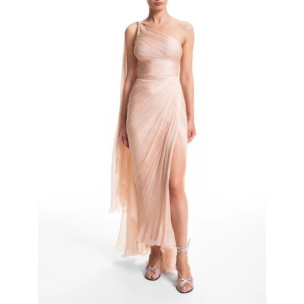 Maria Lucia Hohan dress