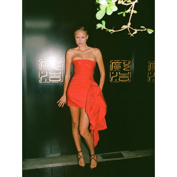 Maria Lucia Hohan Dresses