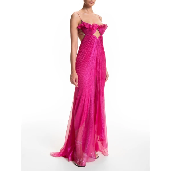 Maria Lucia Hohan dress
