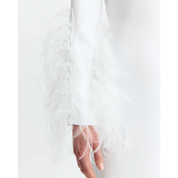Elevate your elegance in this 16Arlington Dresses from the luxury feather dress edit