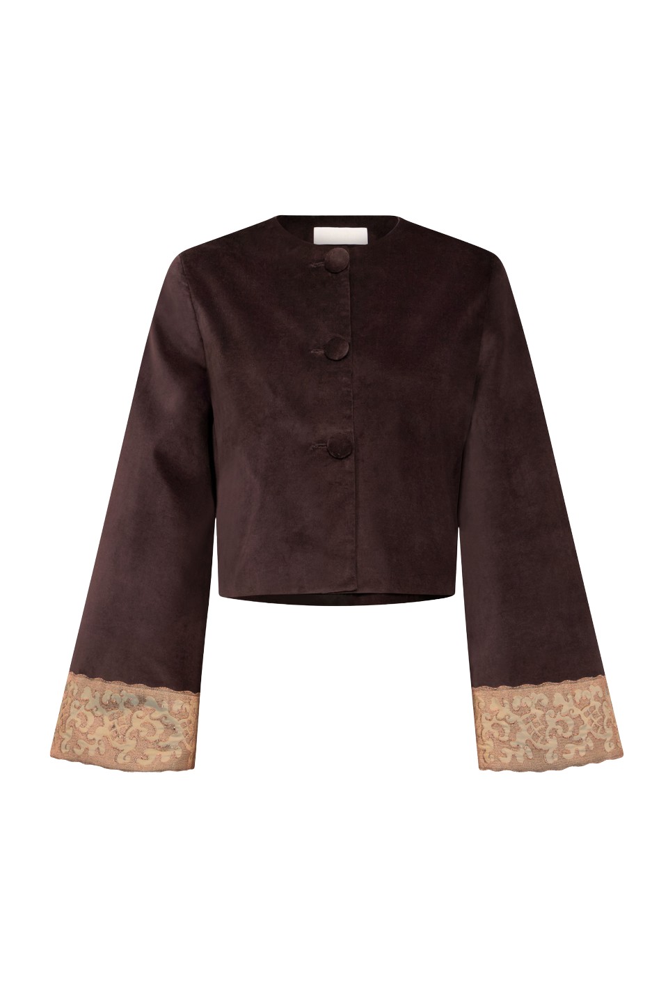 Destree-Dark-Brown-Velvet-Jacket-With-Lace-Hem74216_nobg Destree Dark Brown Velvet Jacket With Lace Hem - Destree - Graphic Parisian Fashion - Shop at Luxury Shoes
