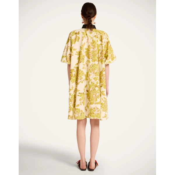 La DoubleJ Sunburst Dress Oasis Green in Cotton Poplin - Dresses - Milanese Maximalist Fashion at Luxury Shoes 