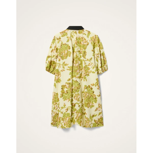 La DoubleJ Sunburst Dress Oasis Green in Cotton Poplin - Dresses - Milanese Maximalist Fashion at Luxury Shoes 