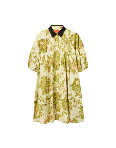 La DoubleJ Sunburst Dress Oasis Green in Cotton Poplin - Dresses - Milanese Maximalist Fashion at Luxury Shoes 