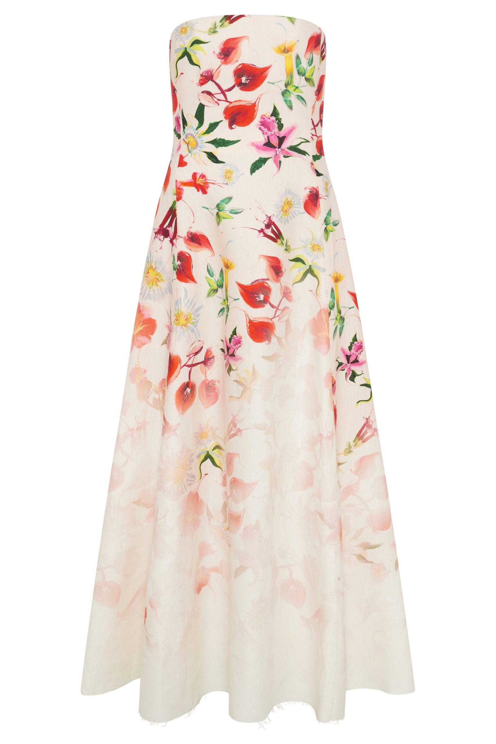 Gabriela Hearst Alessia Strapless Maxi Dress in Uruguayan Flowers Printed Linen Gabriela Hearst