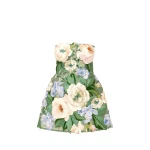 Leo Lin Roselle Floral Hand Embroidered Bustier Mini Dress  - Leo Lin Dress - Australian Luxury Fashion - Shop at Luxury Shoes 