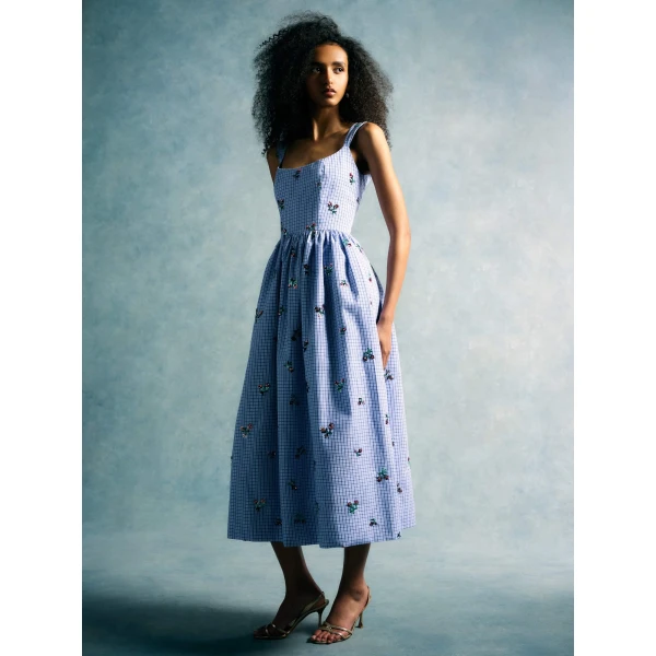 Sequin Embroidery dress