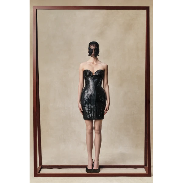 Rasario mini dress