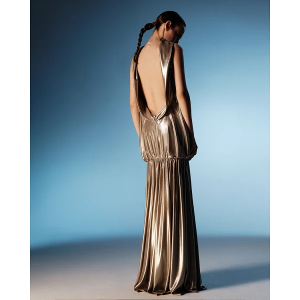 chiffon maxi dress with an open back