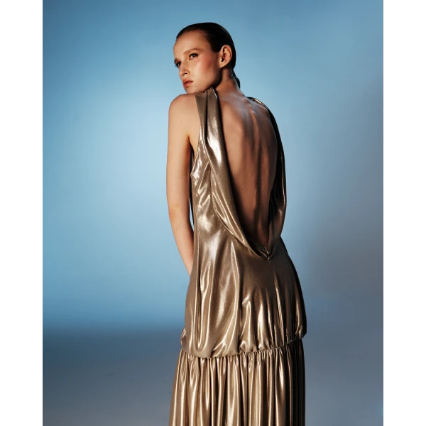 silver evening dress