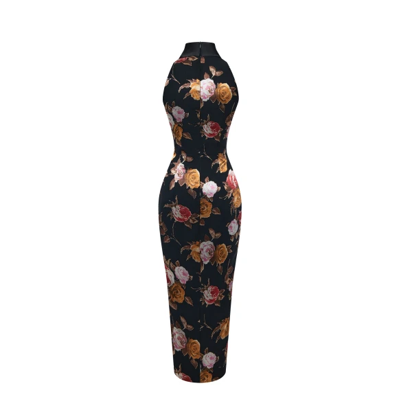 Rasario midi dress