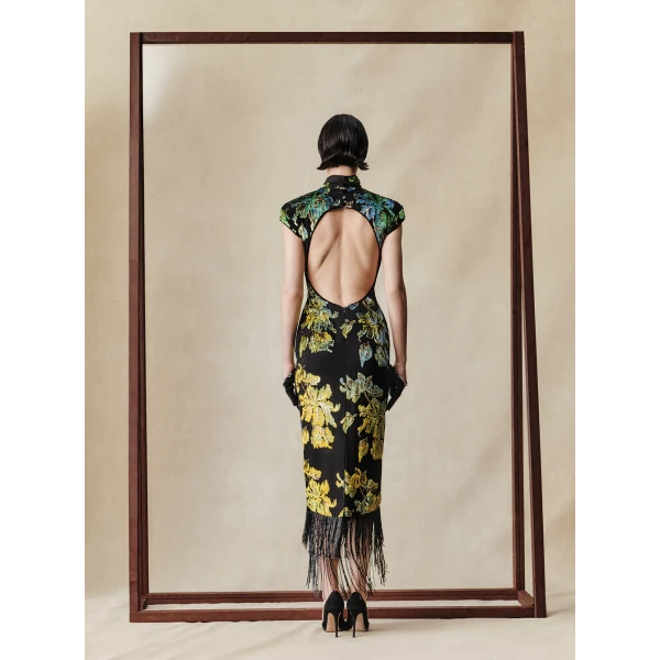 Rasario midi dress
