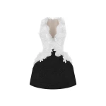 Rasario-Multicolour-Lace-mini-dress-with-voluminous-skirt-in-White-and-black-at-Coveti21346_nobg Rasario