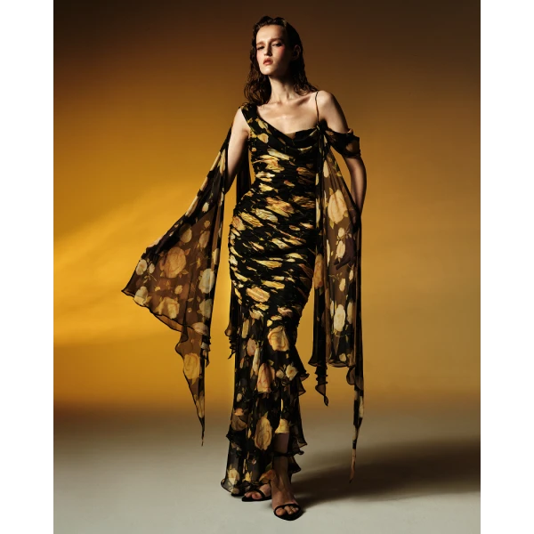 printed silk chiffon maxi dress