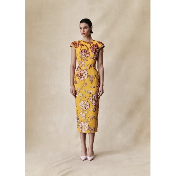 Rasario midi dress