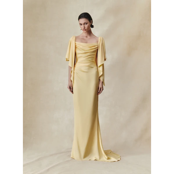 Rasario maxi dress