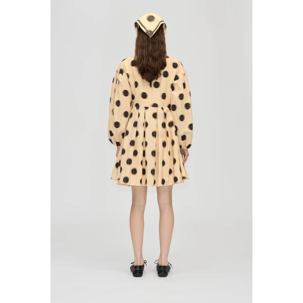 Pre-Fall 2026