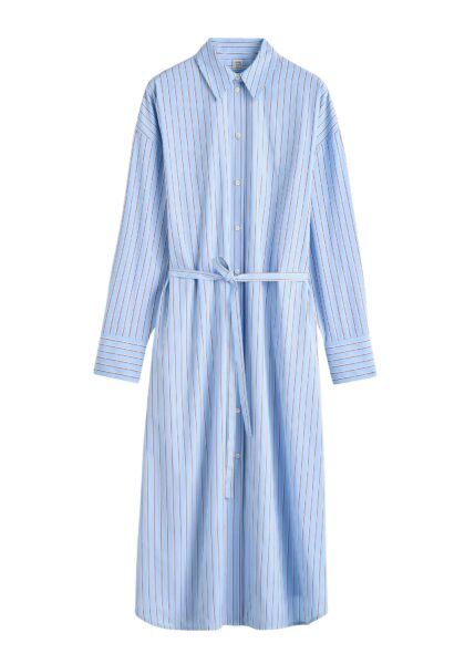 Totême Striped shirtdress in Pale blue / Red - Dresses - Scandinavian Minimalist Luxury at Luxury Shoes 